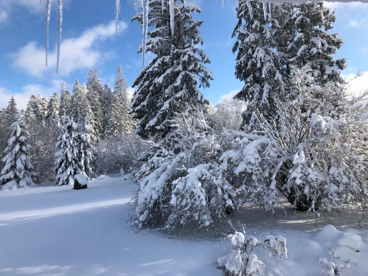 Gite Les Trois Pierres, Proche De Gerardmer Villa Liezey Exterior photo