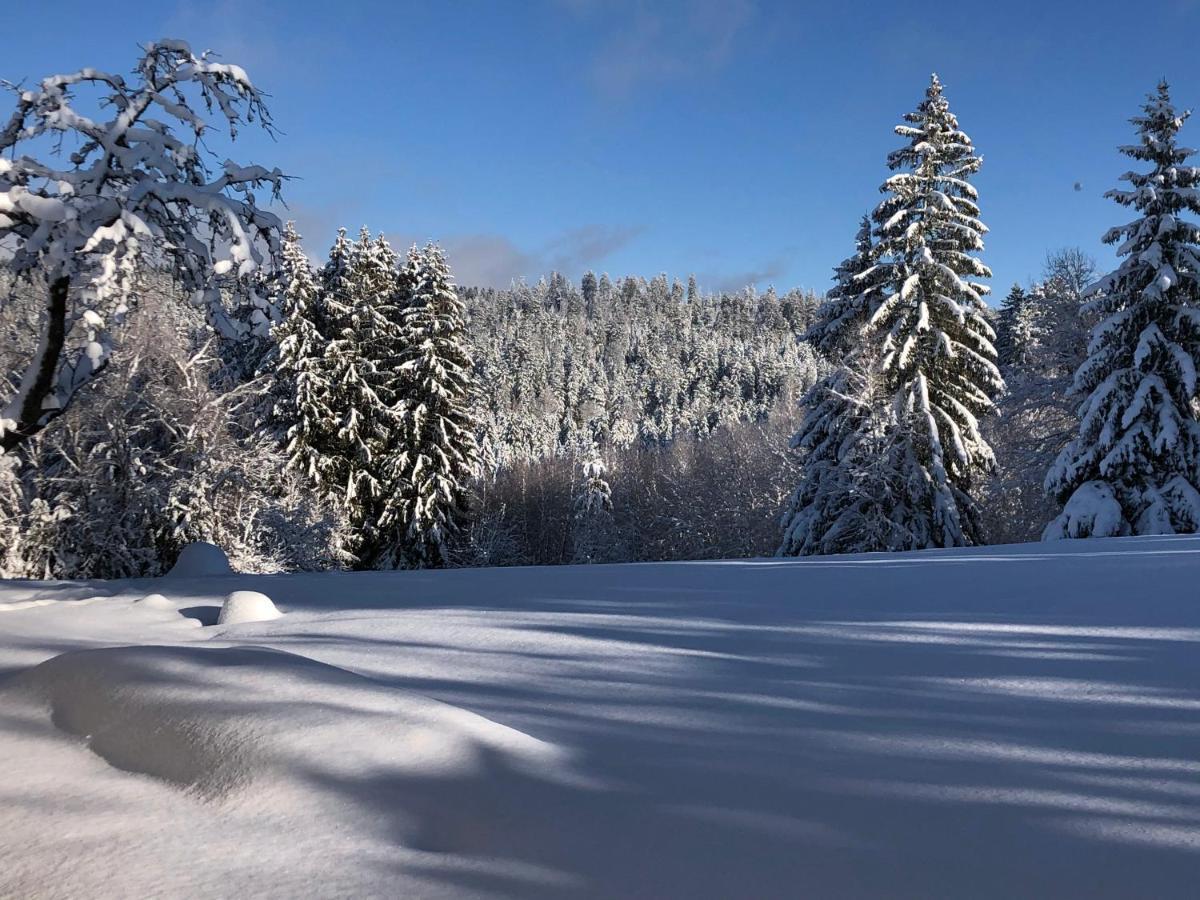 Gite Les Trois Pierres, Proche De Gerardmer Villa Liezey Exterior photo